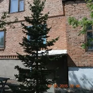 Продам дом в Усть-Каменогорске